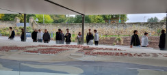 Fotogalerie Petronell-Carnuntum, foto č. 5