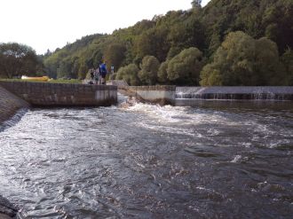 Fotografie 350_original_original.jpg