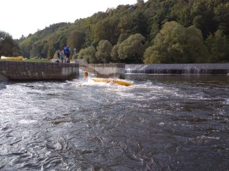 Fotografie 351_original_original.jpg