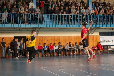 Fotografie img-2309_original_original.jpg