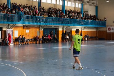 Fotografie img-2328_original_original.jpg