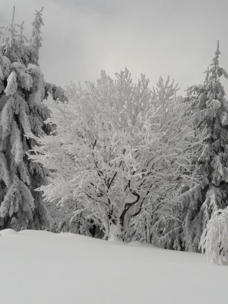 Fotografie img-20180227-wa0001_original_original.jpg