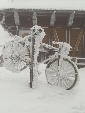 Fotografie img-20180227-wa0002_original_original.jpg