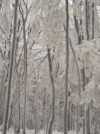 Fotografie img-20180227-wa0003_original_original.jpg