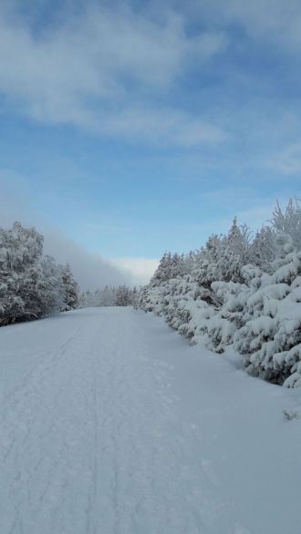 Fotografie img-20180227-wa0005_original_original.jpg