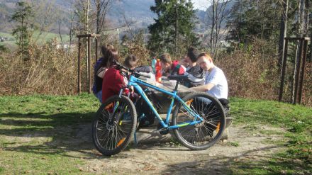 Fotografie img-2531_1_original_original.jpg