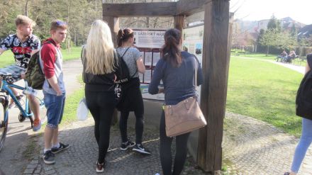 Fotografie img-2534_1_original_original.jpg