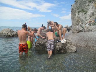 Fotografie img-3158_original_original.jpg