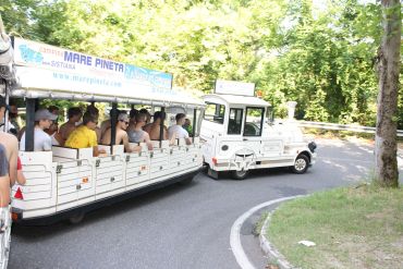 Fotografie img-4577_original_original.jpg