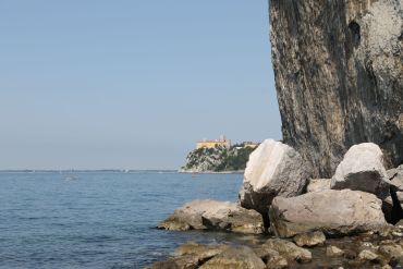 Fotografie img-4600_original_original.jpg