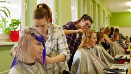 Fotografie p1250676_original_original.jpg