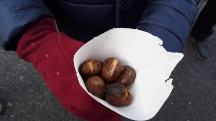 Fotografie img-20181207-wa0057_original_original.jpg