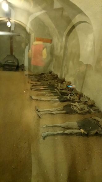 Fotografie kapucini_original_original.jpg