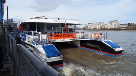 Fotografie img-20190404-104950_original_original.jpg