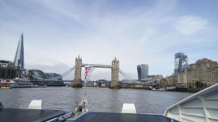 Fotografie img-20190404-110716-1_original_original.jpg