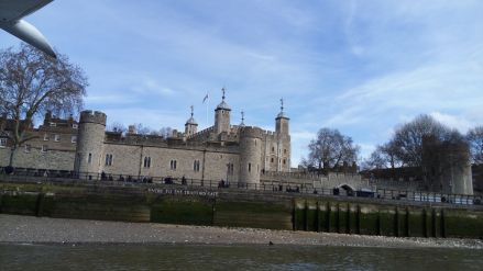 Fotografie img-20190404-111057_original_original.jpg