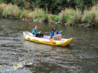 Fotografie img-20190917-131557_original_original.jpg