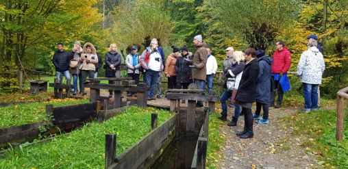 Fotografie 20191006-103951_original_original.jpg