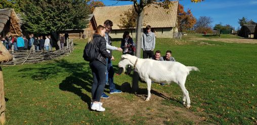 Fotografie 20191017-104425_1_original_original.jpg