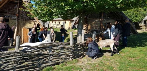 Fotografie 20191017-104932_original_original.jpg