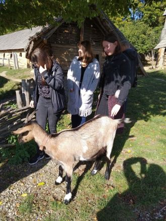 Fotografie ezxb4vijuuevp5bpjxwks3yf0atrsnon4lt9ngsh_original.jpg