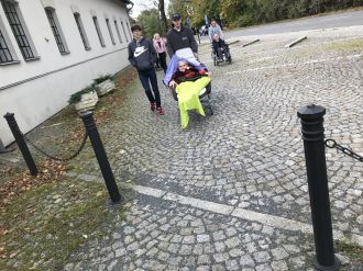 Fotografie img-2947_3_original_original.jpg