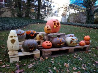 Fotografie img-20191101-141048_original_original.jpg