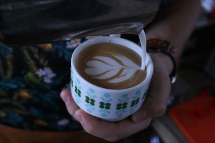 Foto k aktualitě Happy Thanksgiving!