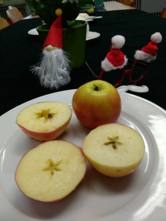 Fotografie img-20191219-090327_original_original.jpg