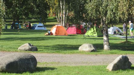 Fotografie img-5882_original_original.jpg