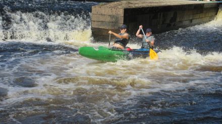 Fotografie img-5901_original_original.jpg