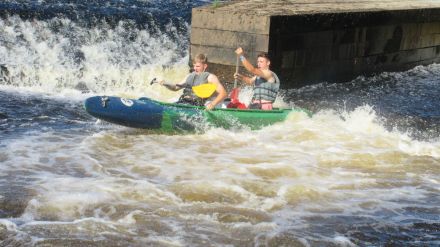 Fotografie img-5903_original_original.jpg