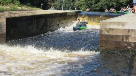 Fotografie img-5904_original_original.jpg