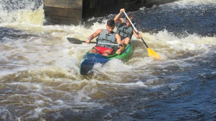 Fotografie img-5905_original_original.jpg