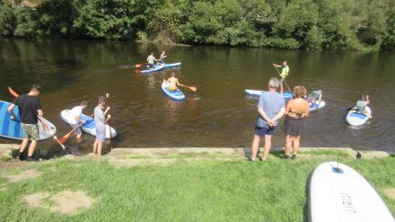 Fotografie img-5919_original_original.jpg