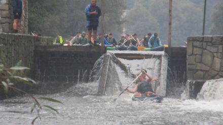 Fotografie img-5941_original_original.jpg