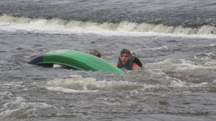 Fotografie img-5946_original_original.jpg