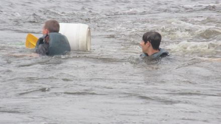 Fotografie img-5951_original_1_original.jpg