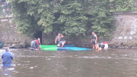 Fotografie img-5956_original_1_original.jpg