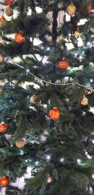 Fotografie img-20201217-wa0005_original_original.jpg