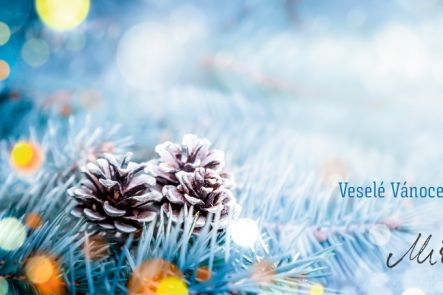 Foto k aktualitě PF 2022