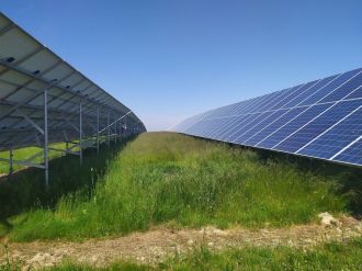 Fotografie elektra1_original_original.jpg