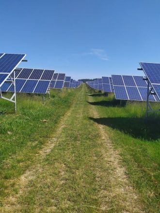 Fotografie elektra_original_original.jpg