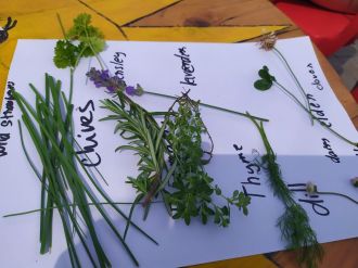 Fotografie doubleherbs_original_original.jpg