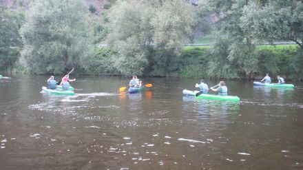 Fotografie img-6336_original_original.jpg