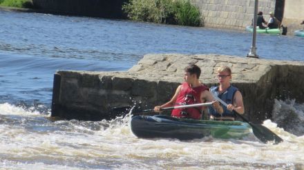 Fotografie img-6357_original_original.jpg