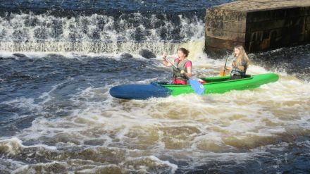 Fotografie img-6377_original_original.jpg