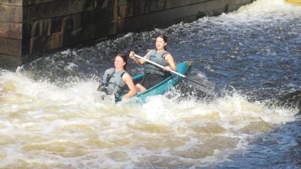 Fotografie img-6385_original_original.jpg