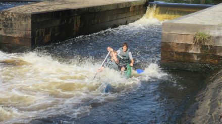 Fotografie img-6388_original_original.jpg