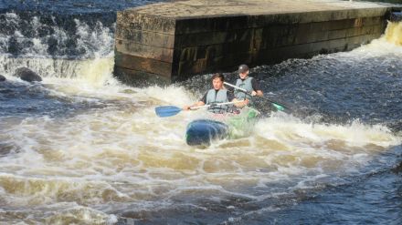 Fotografie img-6389_original_original.jpg